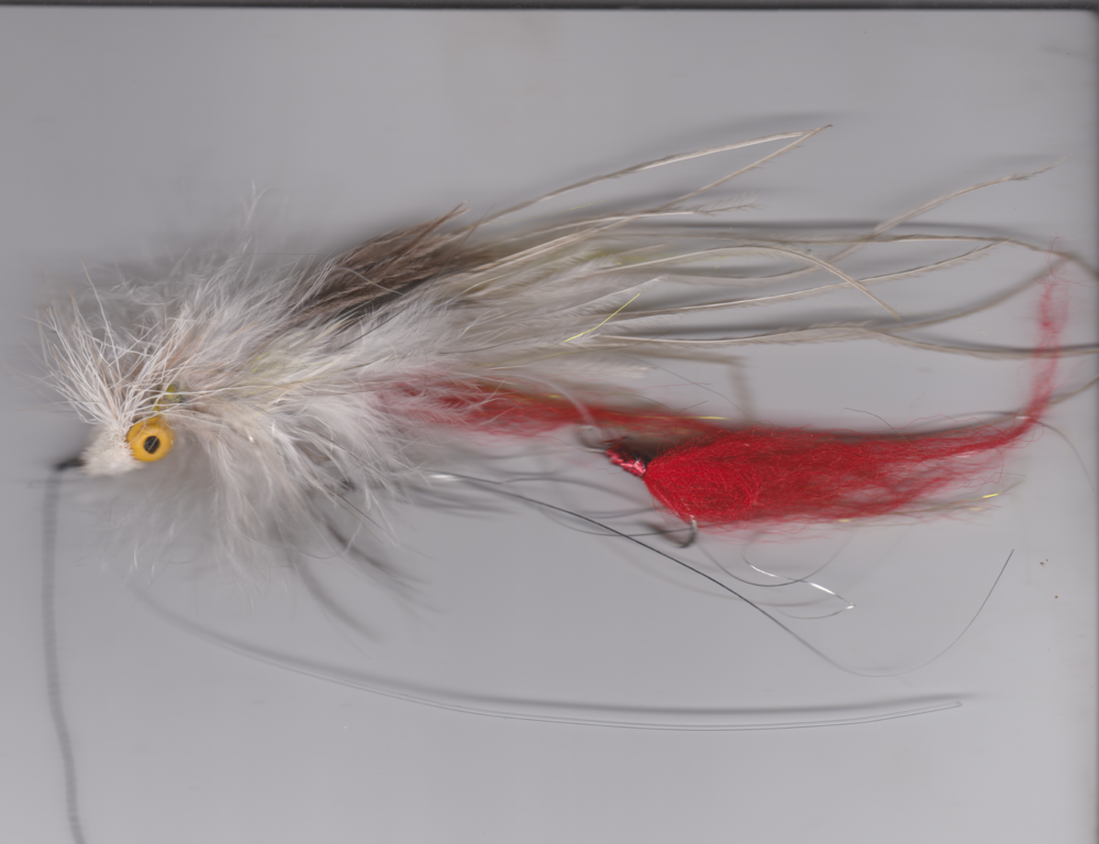 Pas de bredouille avec ce streamer articul� 16 Digne-les-Bains (04)