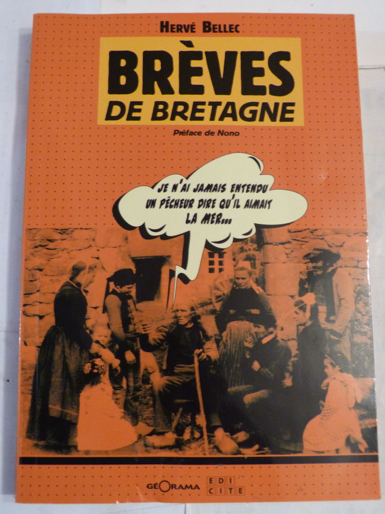 BREVES DE BRETAGNE  par  HERVE BELLEC 6 Brest (29)