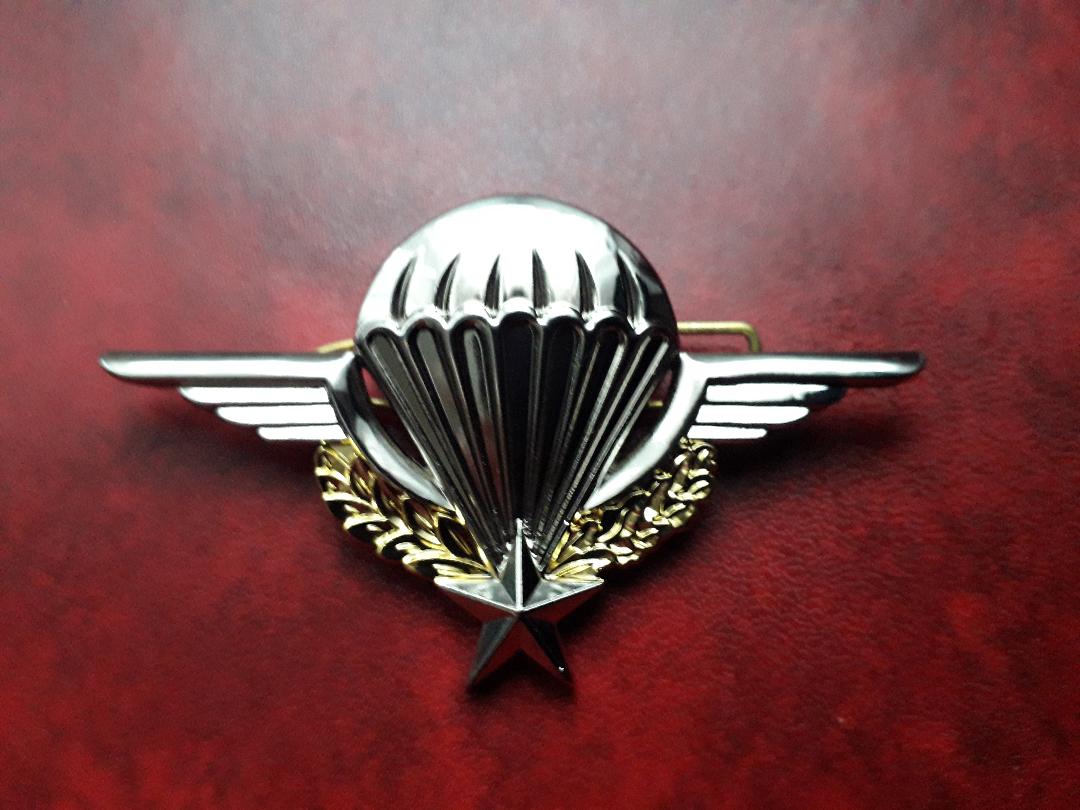 brevet parachutiste - 10 Palaja (11)