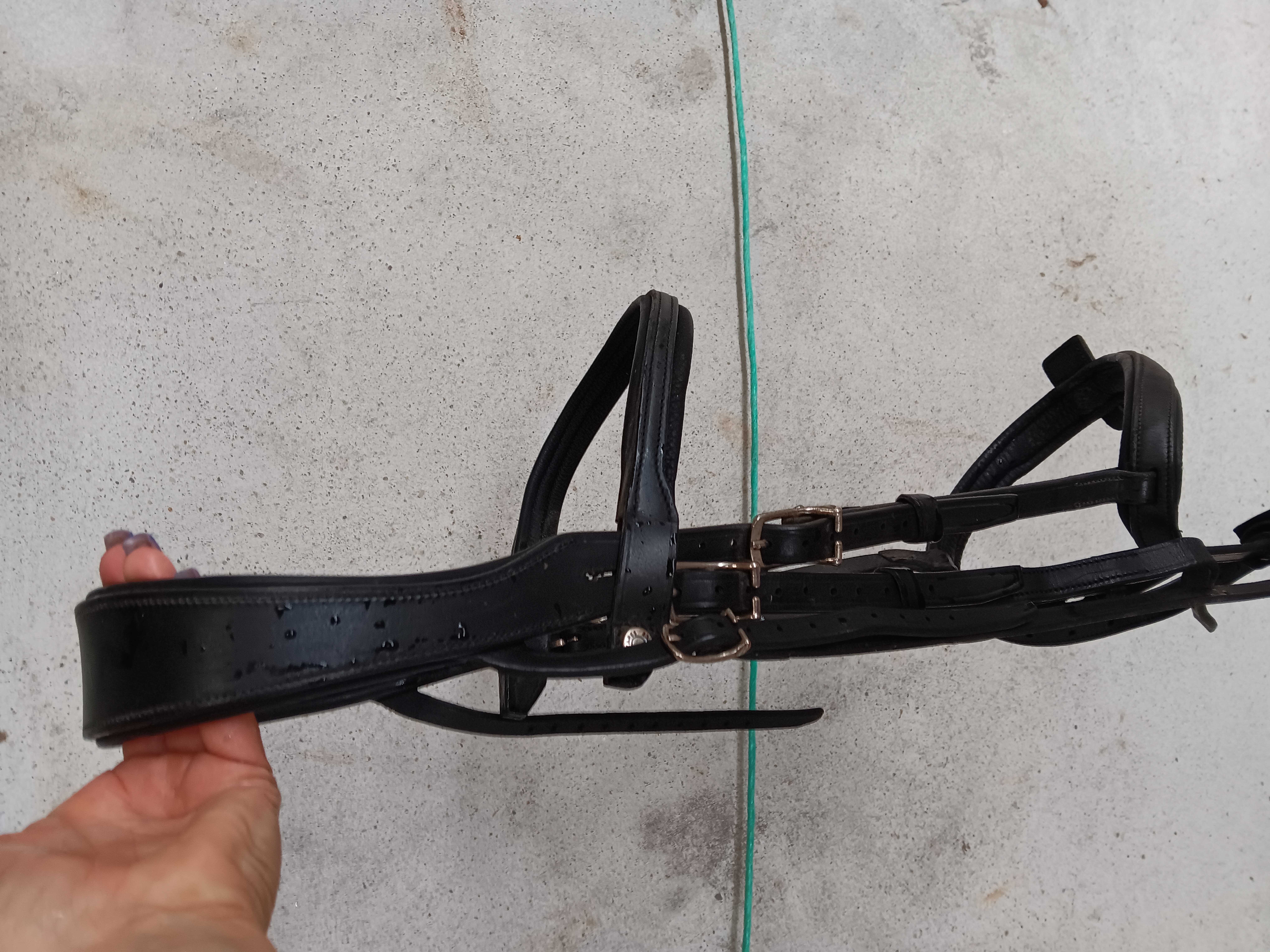 Bridon Antares 190 La Ronde (17)