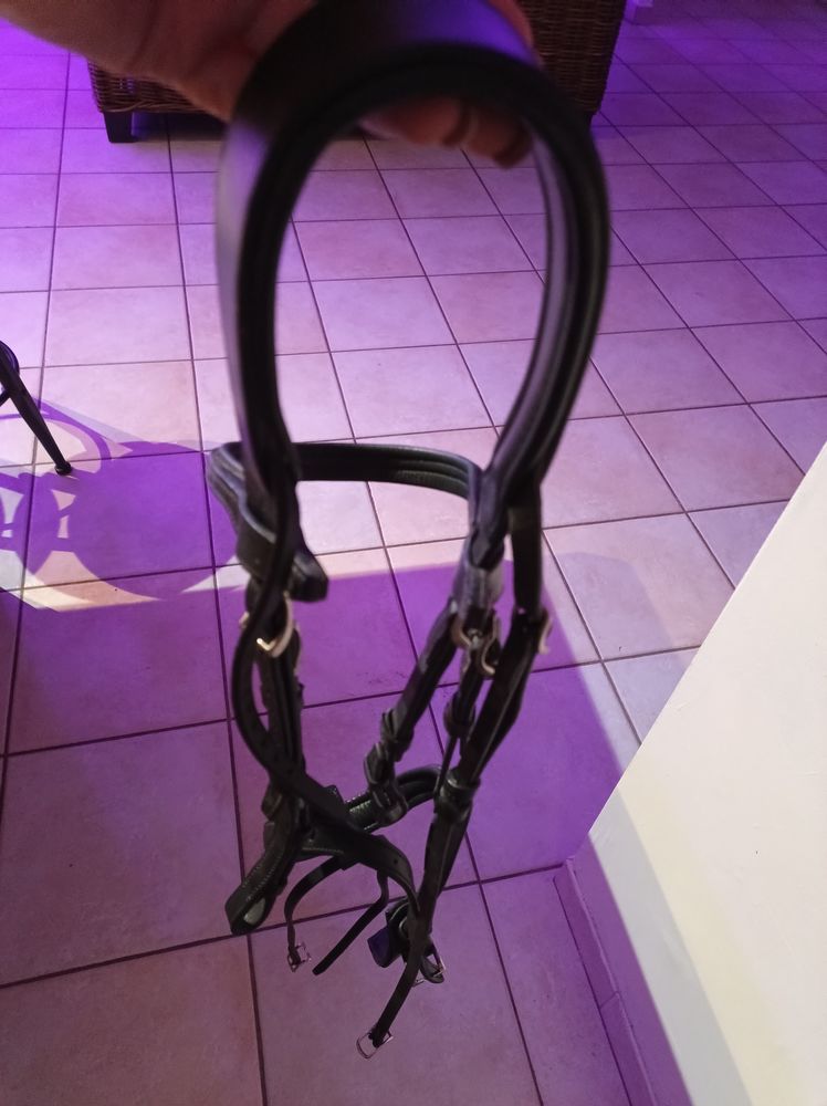 Bridon Antar�s 160 La Ronde (17)