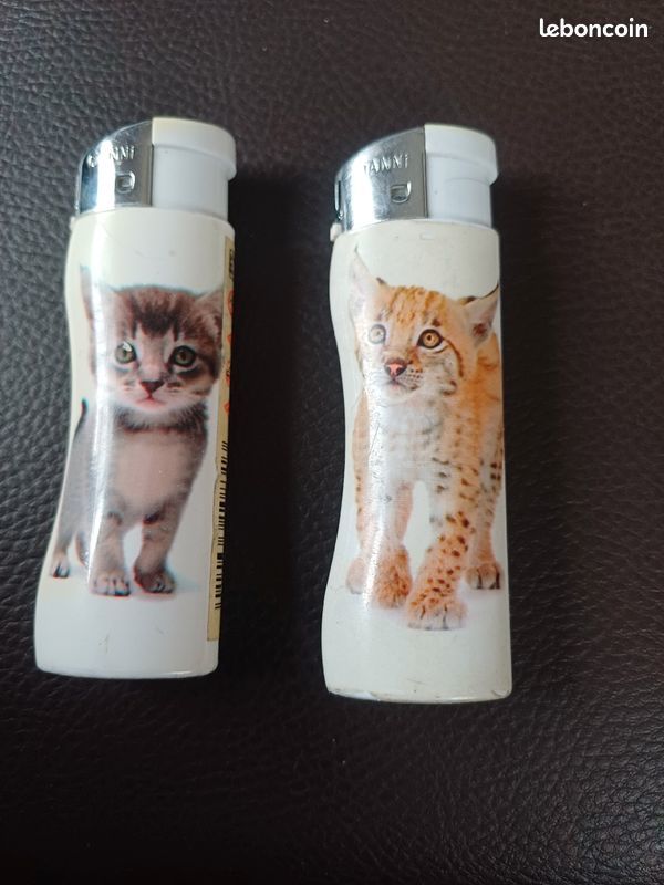 Briquets animaux
Un lynx 2 chats 2 chiens
4 sont rechargeabl 10 Viriat (01)