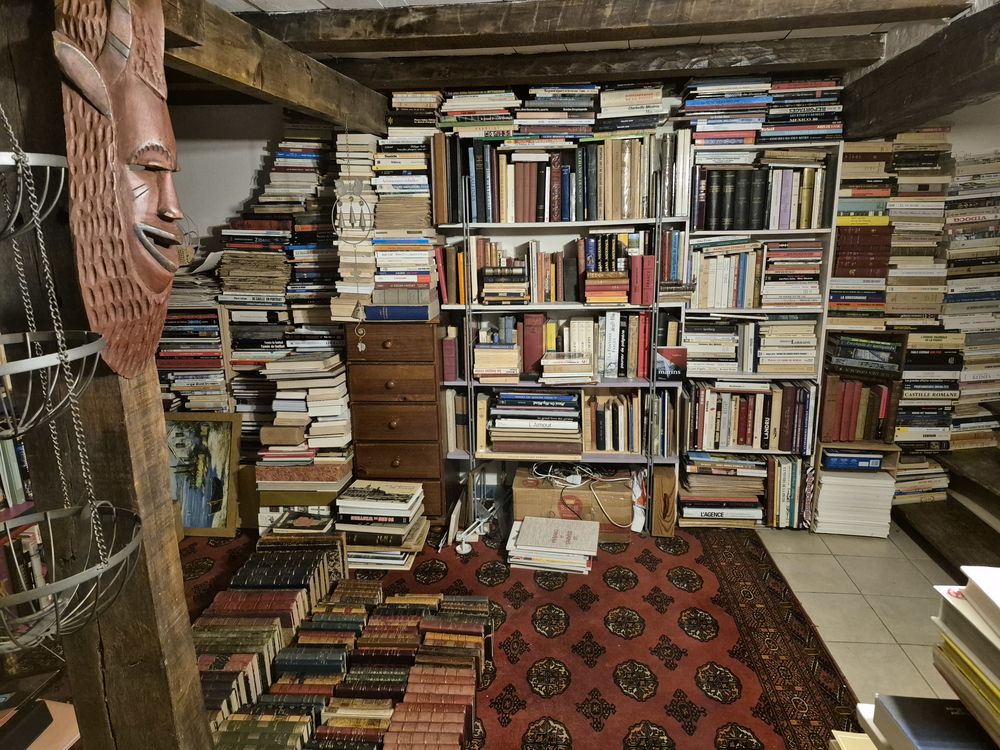 BROCANTE , livres anciens et modernes 0 Peri (20)