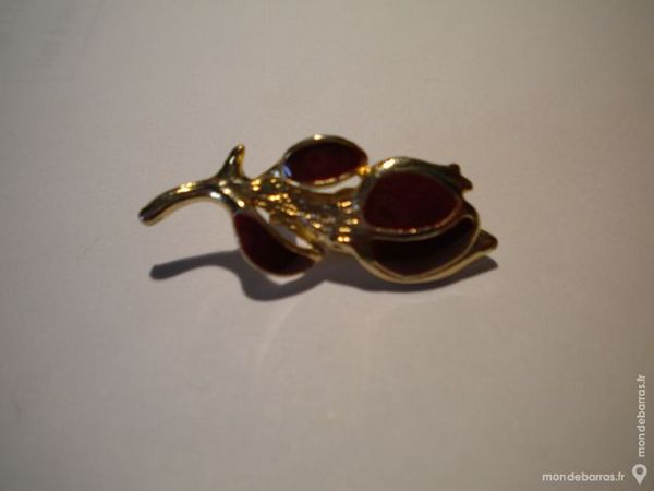 BROCHE	  Branche   9 Dammarie-les-Lys (77)