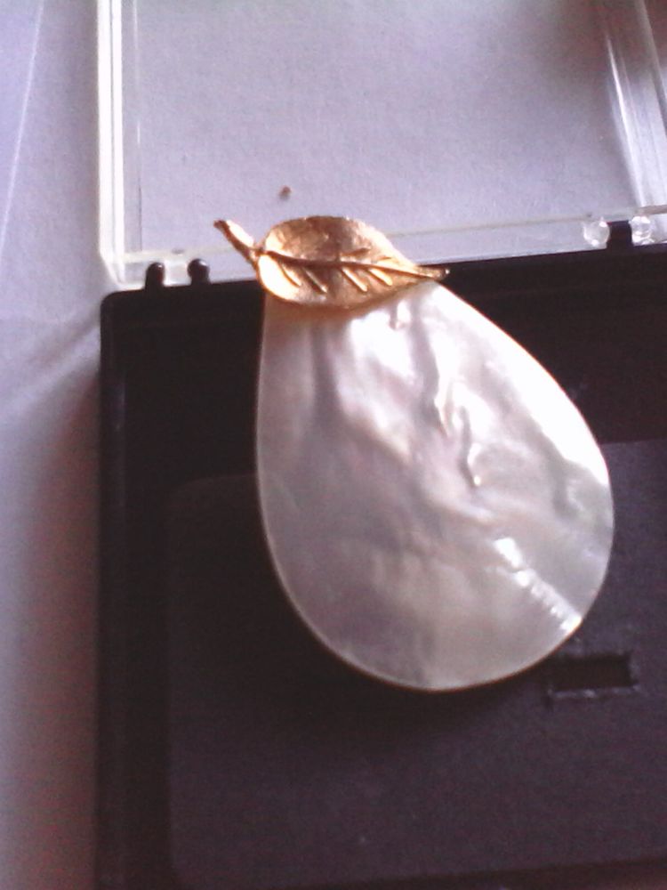 broche 
30 Strasbourg (67)