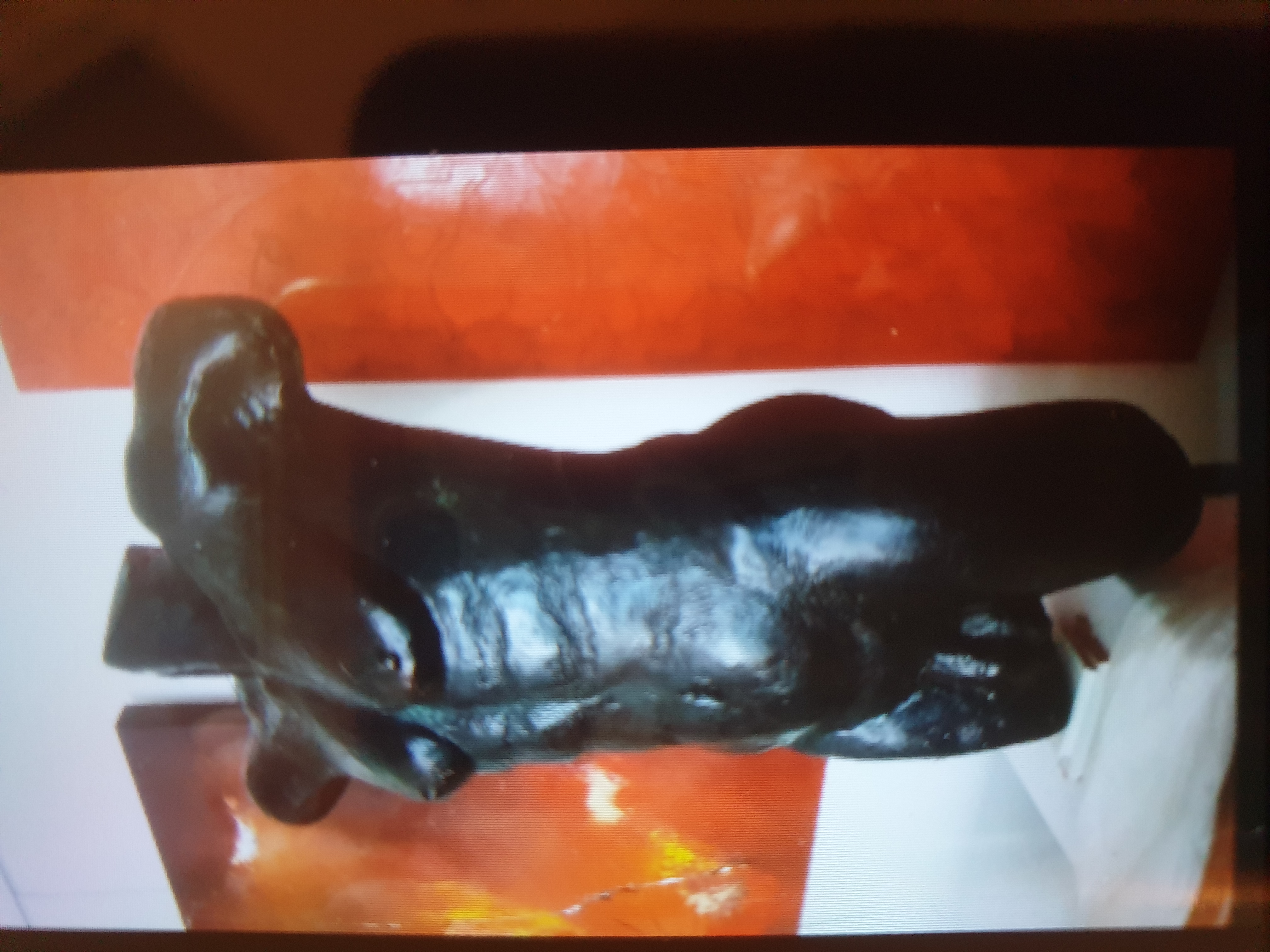 Bronze 3000 Bergerac (24)