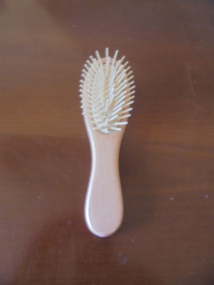 Brosse d�m�lante (25) 3 Tours (37)