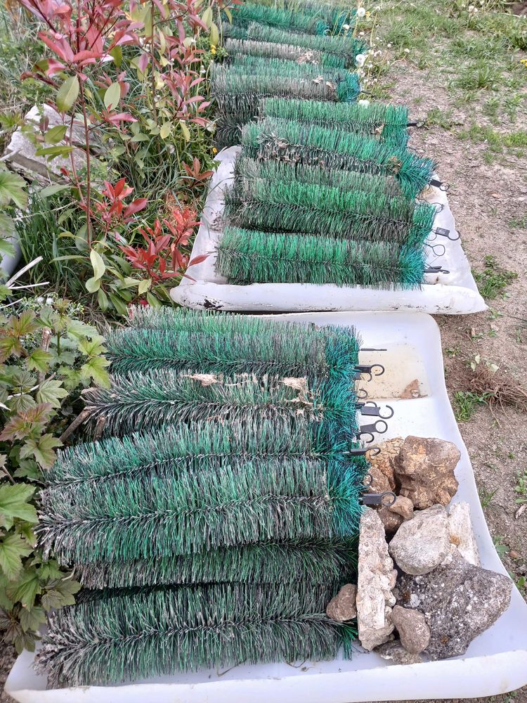 BROSSES DE FRAYE 2 Montcresson (45)