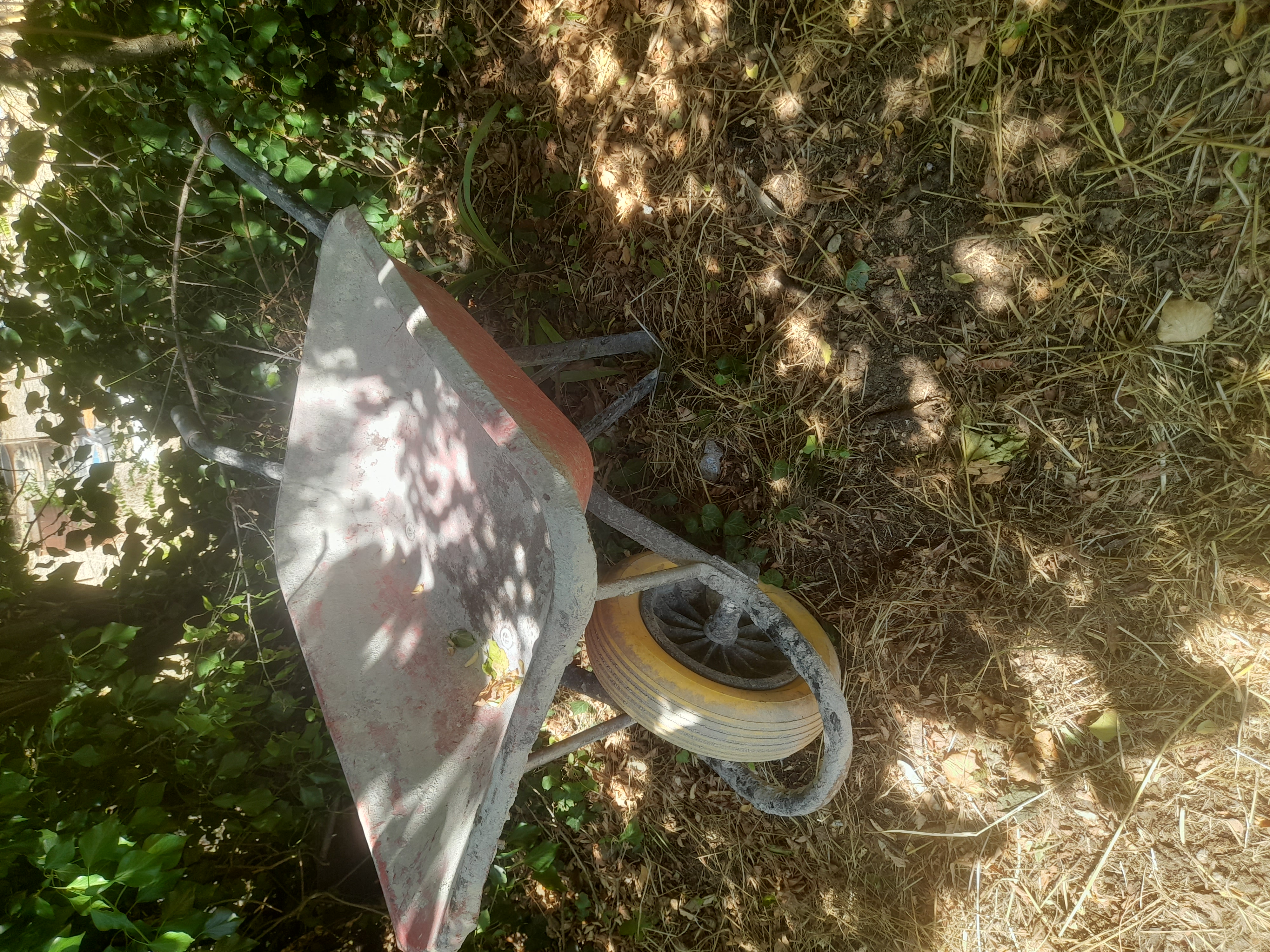 Brouette roue increvable 20 Montpellier (34)