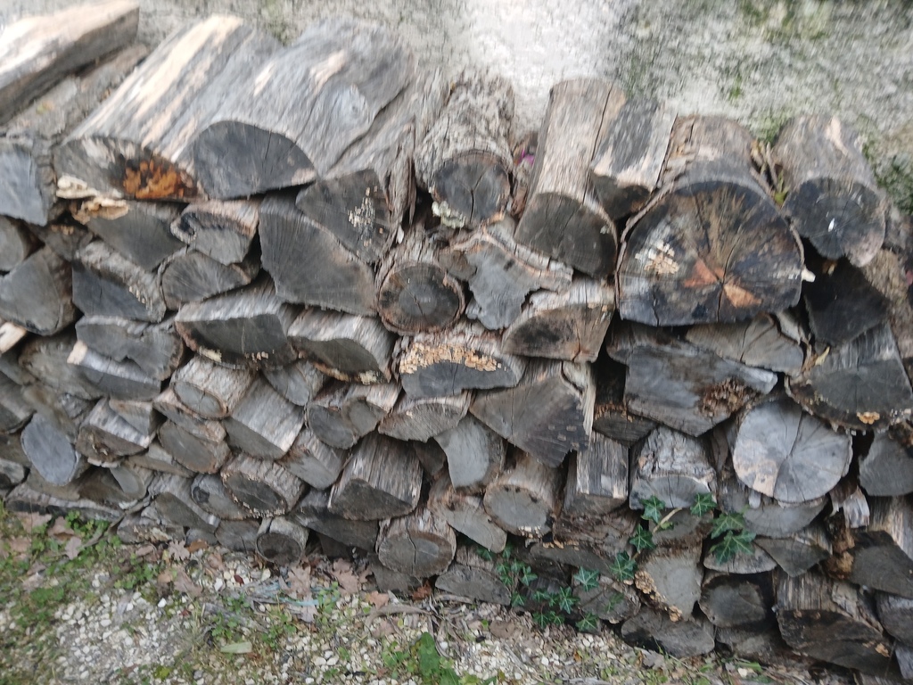 B�ches de bois pour chauffage 150 Lapalud (84)
