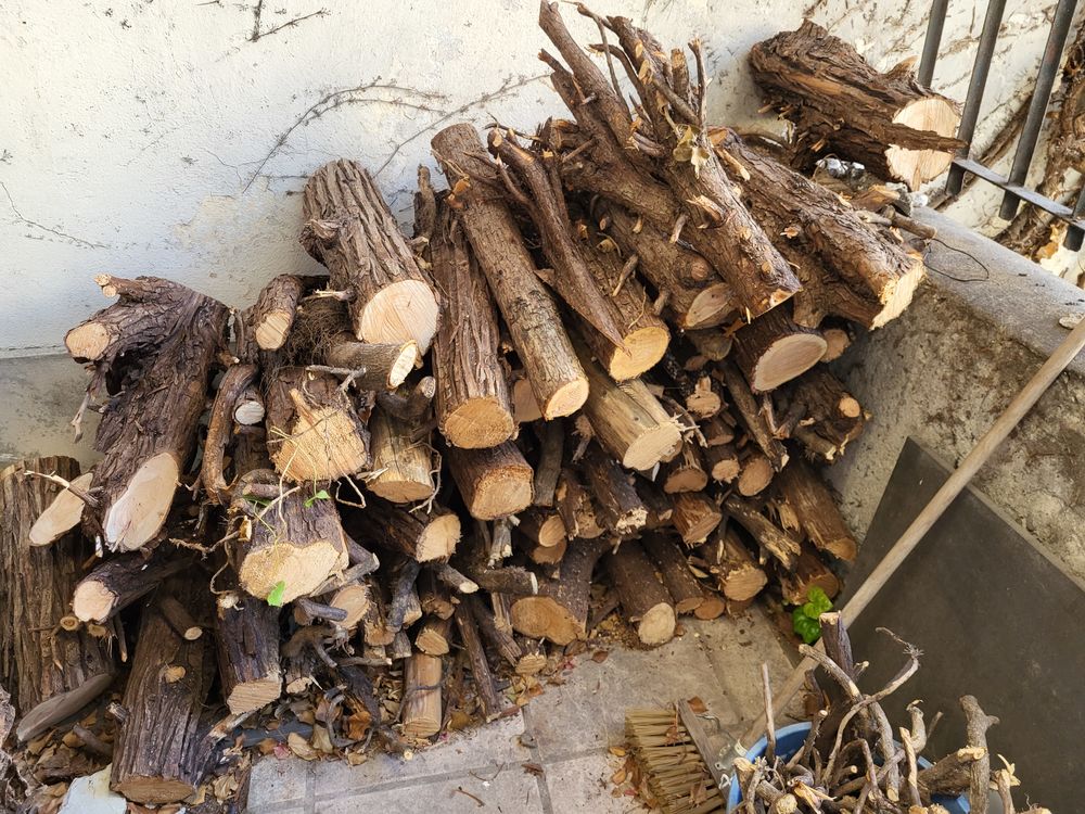 Buches � enlever 0 Nice (06)