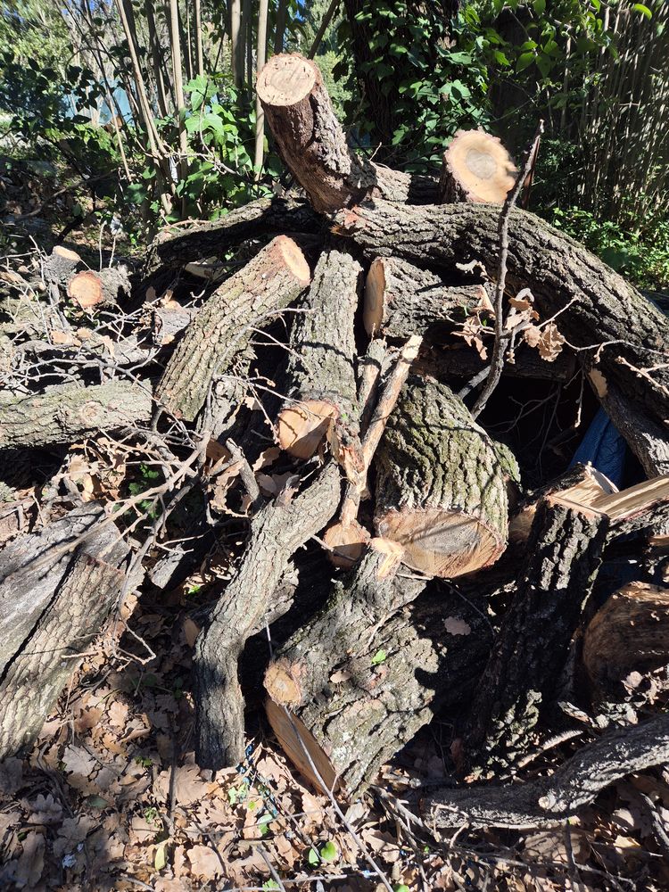 buches pour chauffage 300 Vence (06)