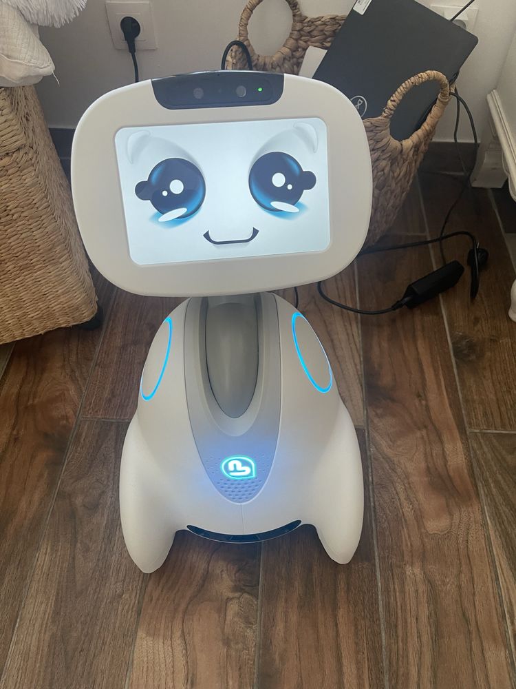 buddy robot 1450 Calais (62)