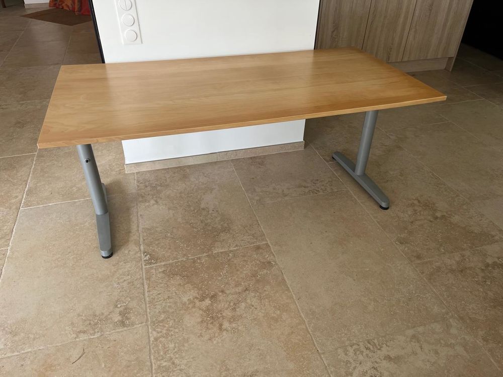 bureau IKEA BEKAN 120 Carry-le-Rouet (13)