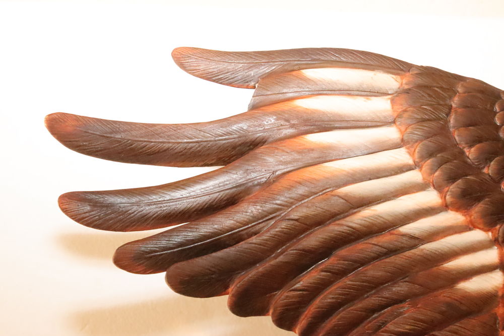 Buste aigle am�ricain
250 Li�vin (62)