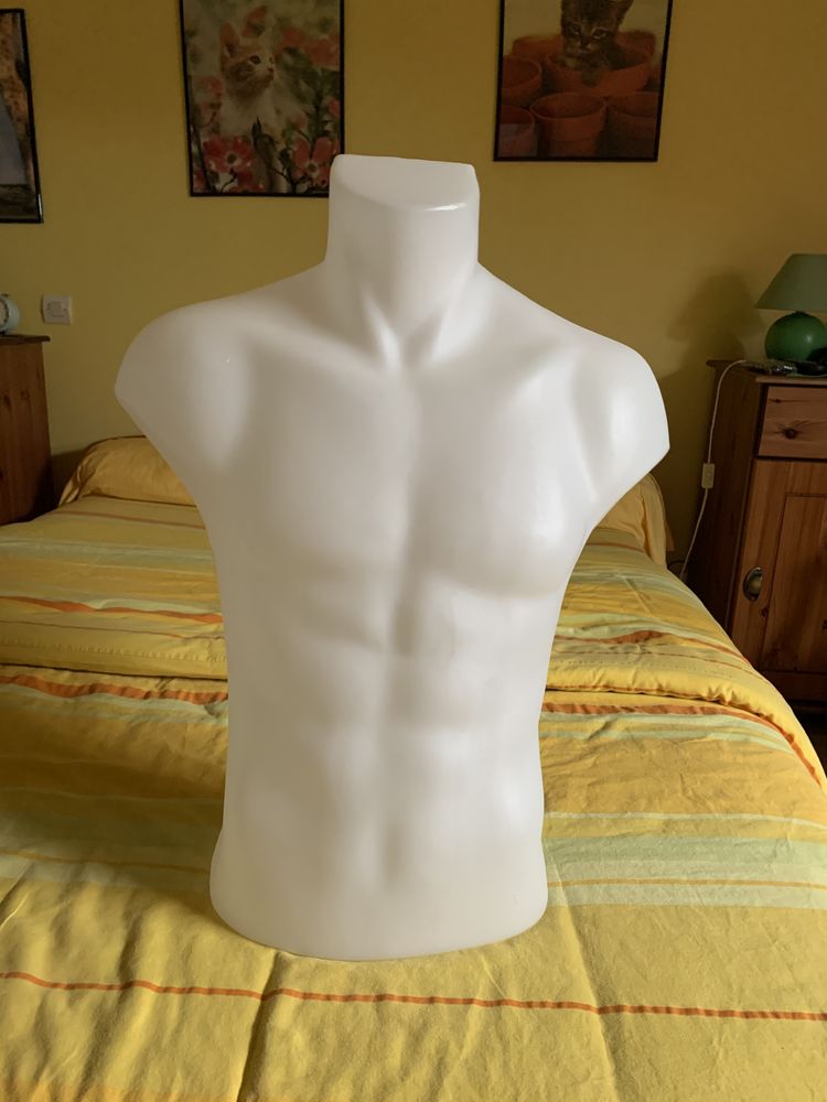 Buste en pvc 10 Estaires (59)