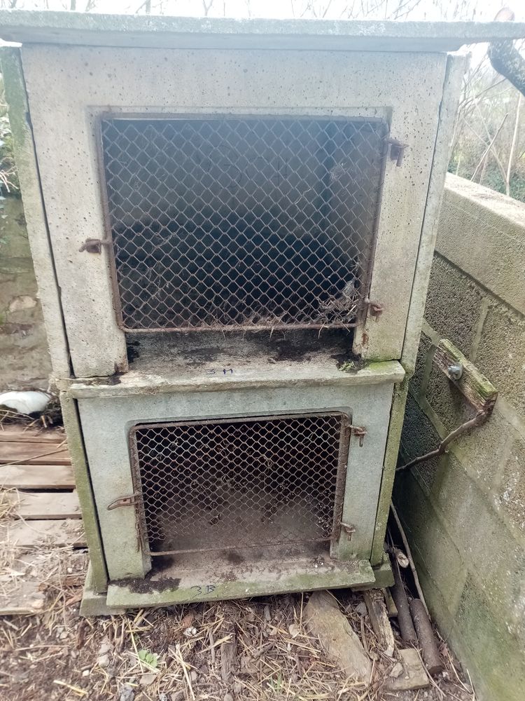 cabane a lapins 16 Nuill�-sur-Vicoin (53)