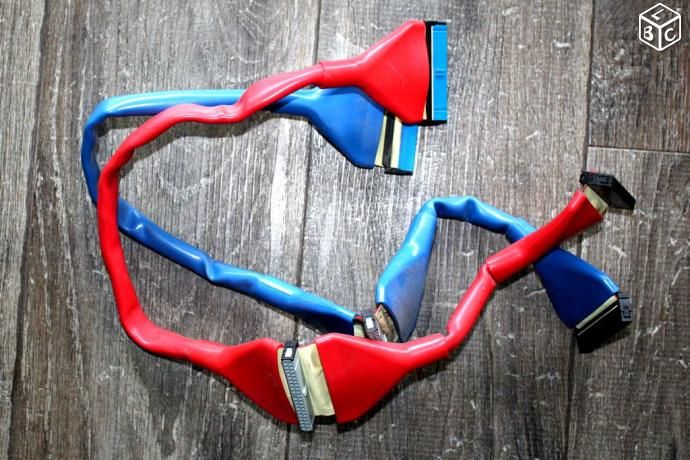 2 x Cables IDE blind� 4 Rueil-Malmaison (92)