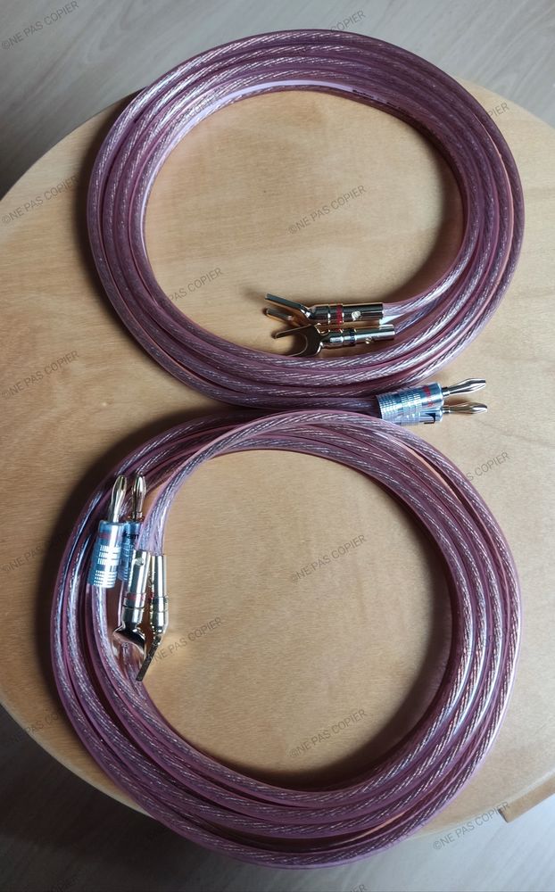 Câbles d'enceintes audiophiles REAL CABLES Moniteur Montés  39 Locquemeau (22)