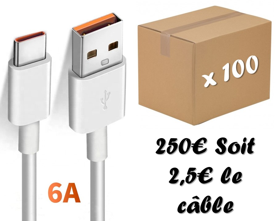 Lot de 100 C�bles Type C pour Android 6a 250 Six-Fours-les-Plages (83)