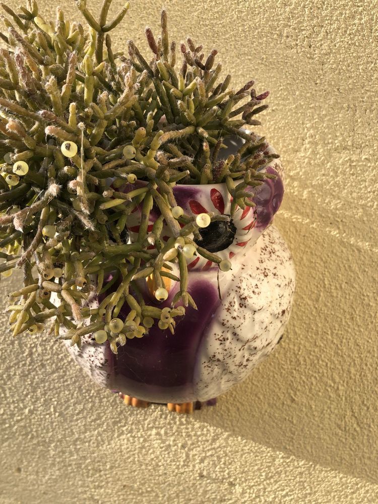 cache pot decoratif 15 Le Boulou (66)