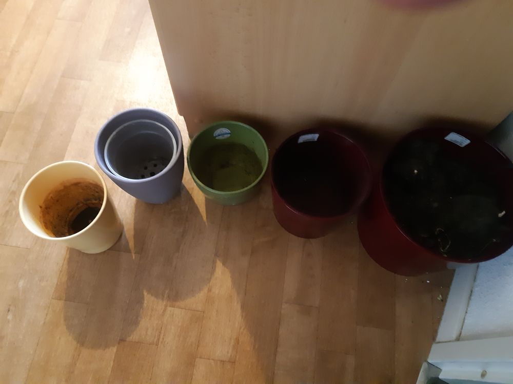 Cache pot ou Pots � fleuri ou � plante x5 20 Montb�liard (25)