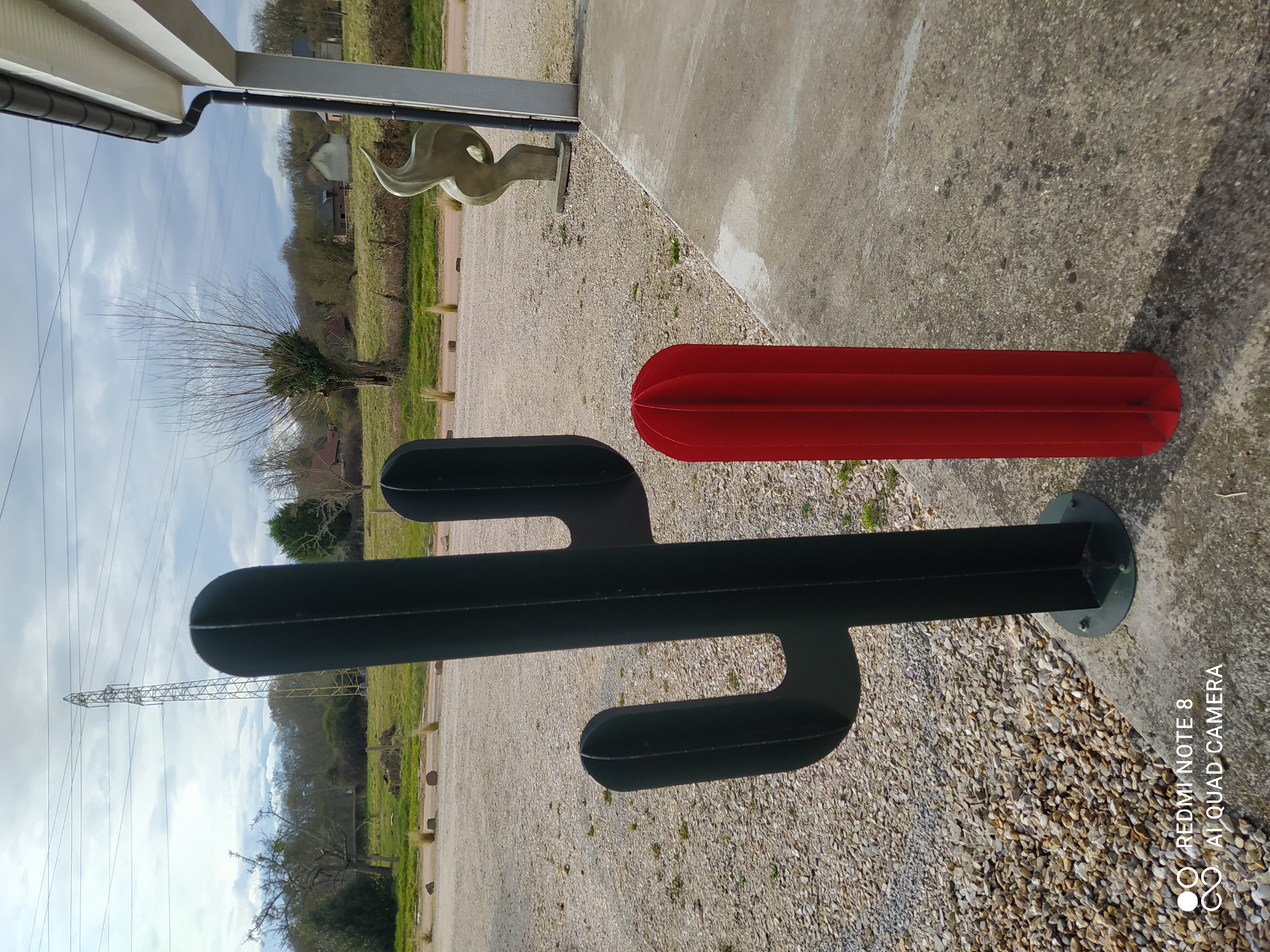 Cactus 1m70 vert suivant photos 175 Sainte-Marguerite-sur-Duclair (76)