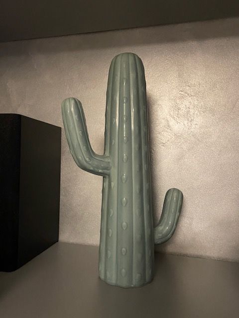 Cactus vert d�coration 15 G�ovreissiat (01)