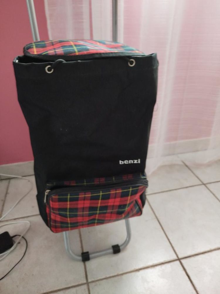 caddie de courses 20 Saint-Yan (71)