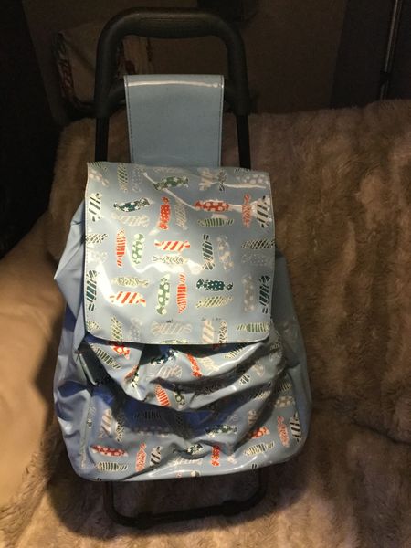 Caddy poussette pour enfants BLEU 8 Villiers-sur-Marne (94)