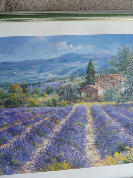 CADRE  CHAMP�TRE CHAMP DE LAVANDE  69x49 13 Doussard (74)