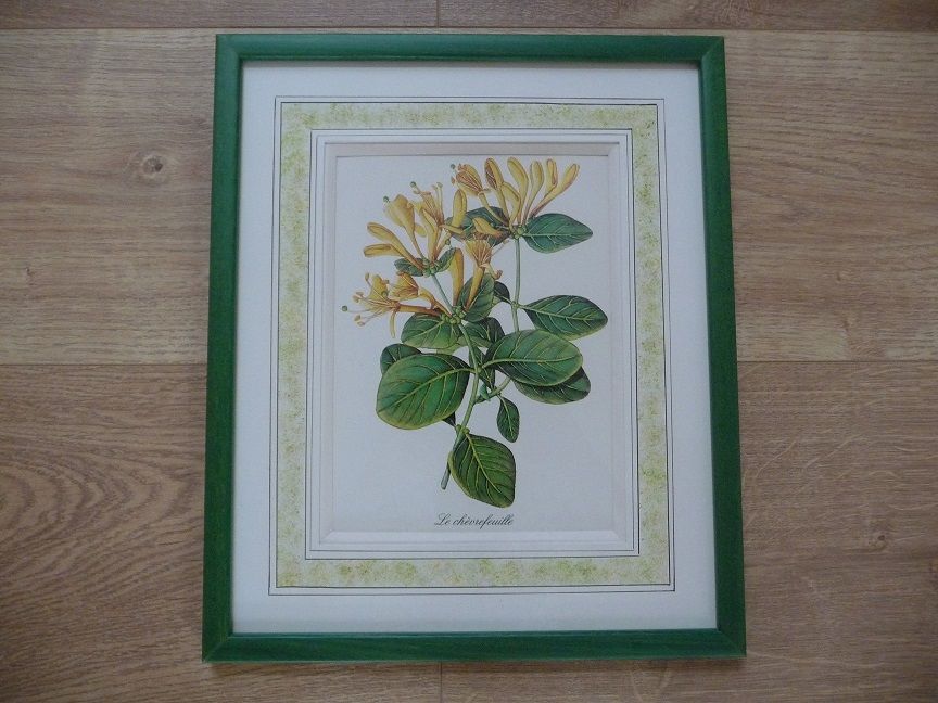 Cadre Le Ch�vrefeuille - Neuf 20 Celles-sur-Belle (79)