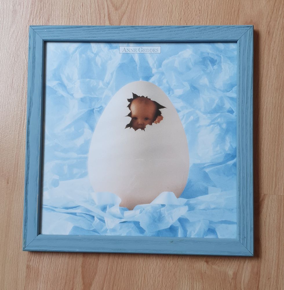 Cadre coquille d'oeuf b�b� 4 Betton (35)