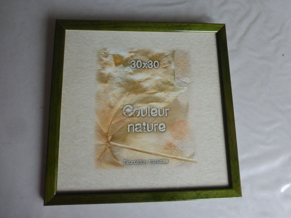 CADRE encadrement vert 5 Doussard (74)