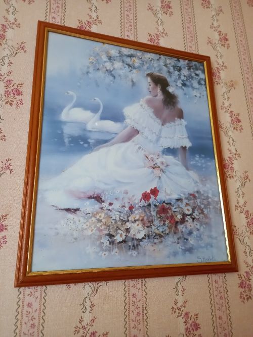 Cadre Femme + cygne 25 Villiers (86)