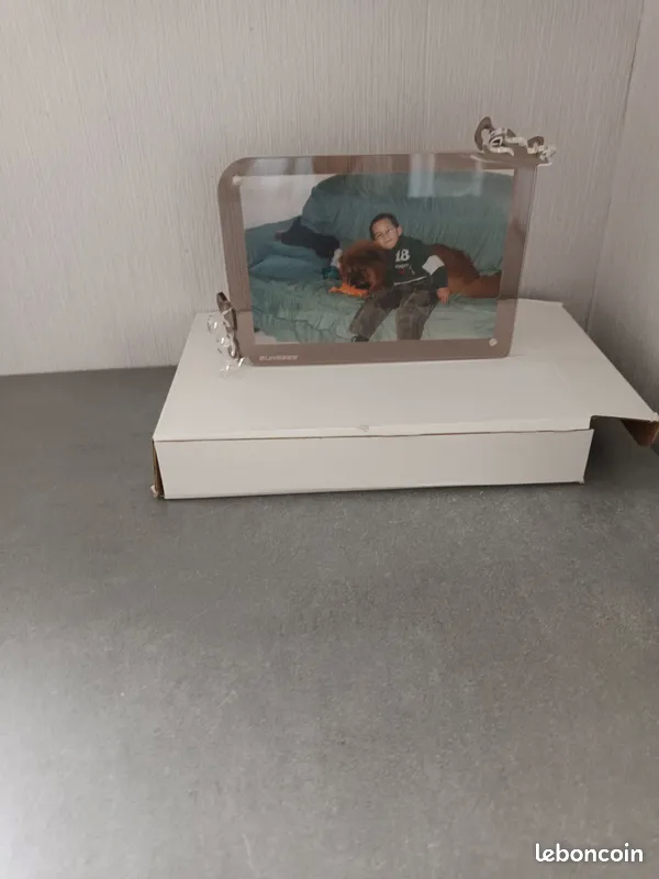 Cadre Horizontal en acrylique aimant� avec d�cor papillon 2 Romorantin-Lanthenay (41)