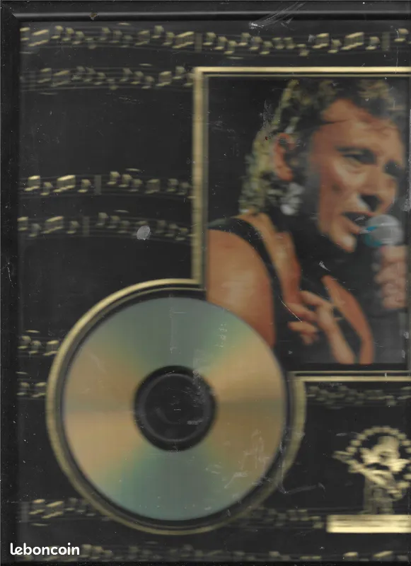 cadre johnny hallyday 25 Saint-Denis-en-Val (45)