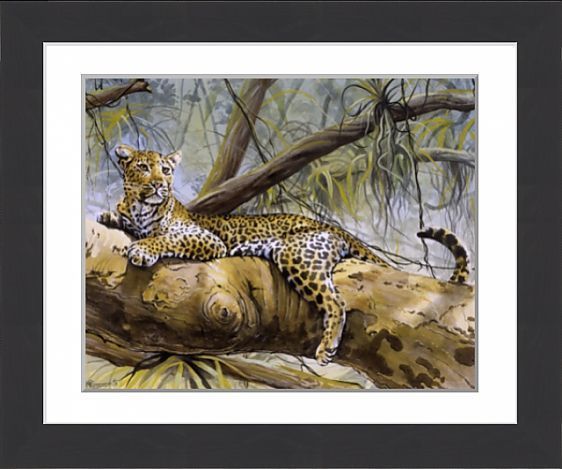 Cadre l�opard par Malcom GREENSMITH 10 Chauny (02)