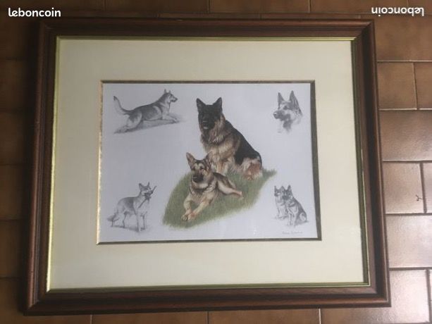 Cadre/lithographie/chien loup/berger allemand/Nigel Hemming
65 Castres (81)