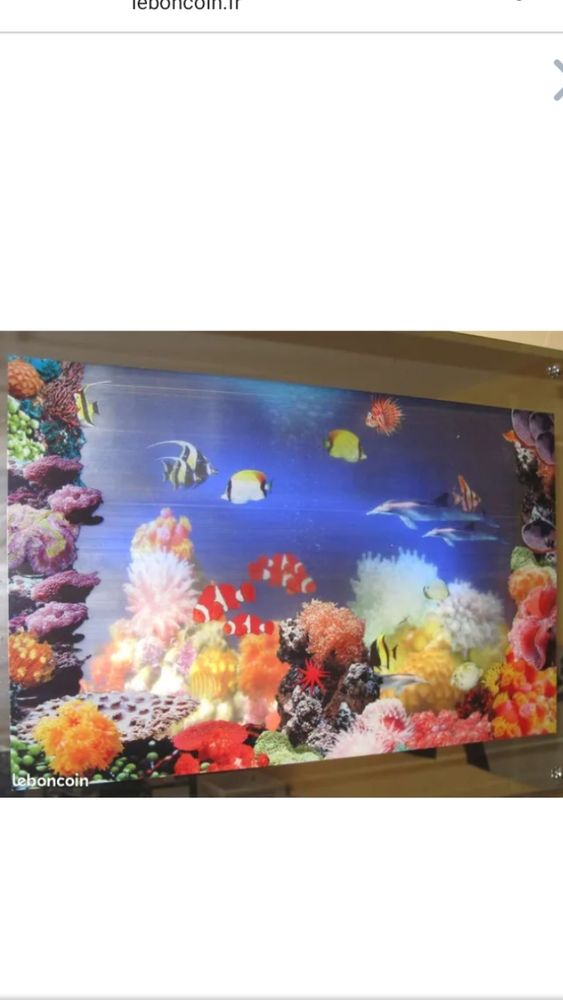 Cadre lumineux aquarium marin, 50 Montfavet (84)