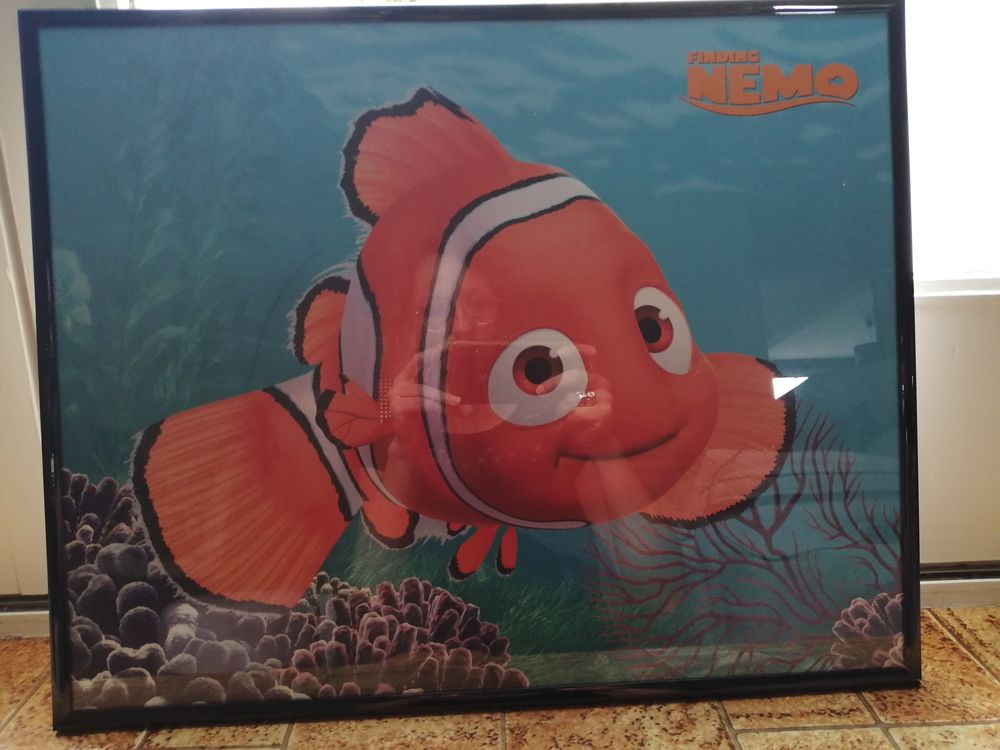 Cadre N�mo 5 Rennes (35)