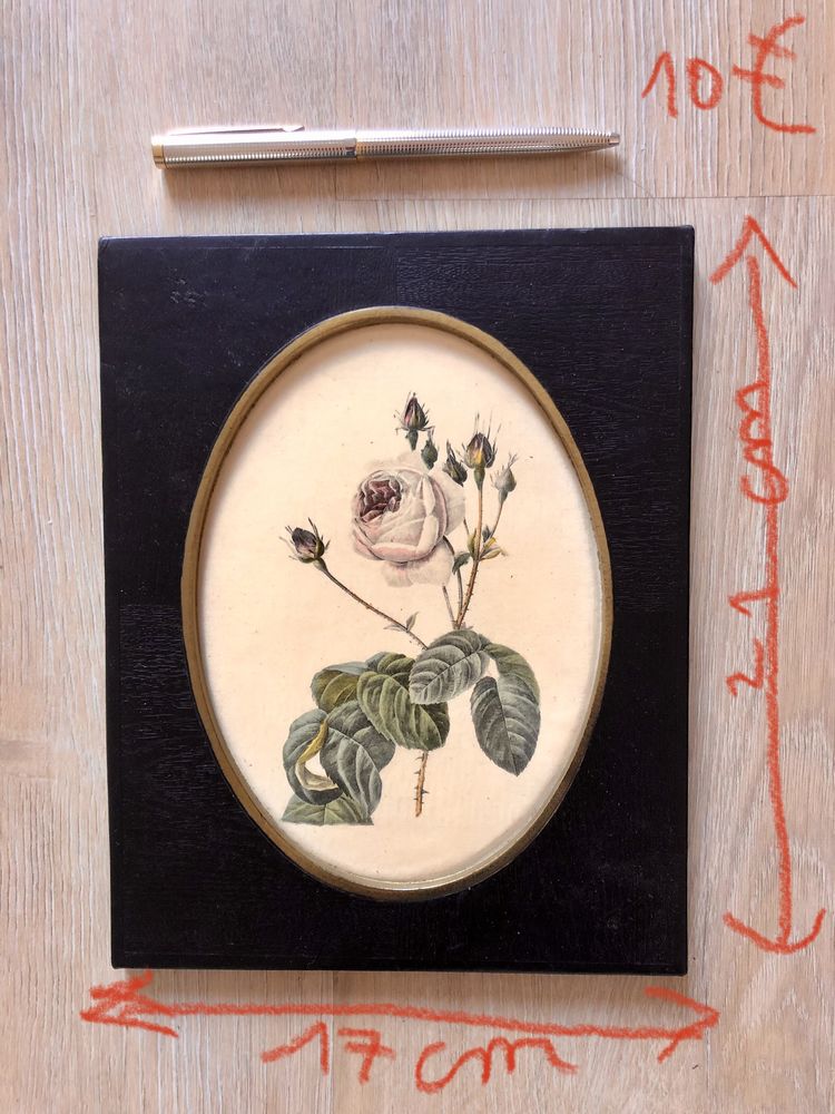 Cadre ovale vintage botanique 30 Paris 19 (75)