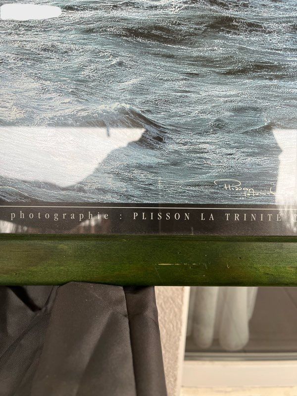 Cadre photo Coup de vent sur les Poulains 40 Thoiry (01)