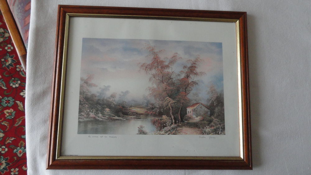 Cadre photo ( Fr�ha Yssou ) 10 Sabl�-sur-Sarthe (72)