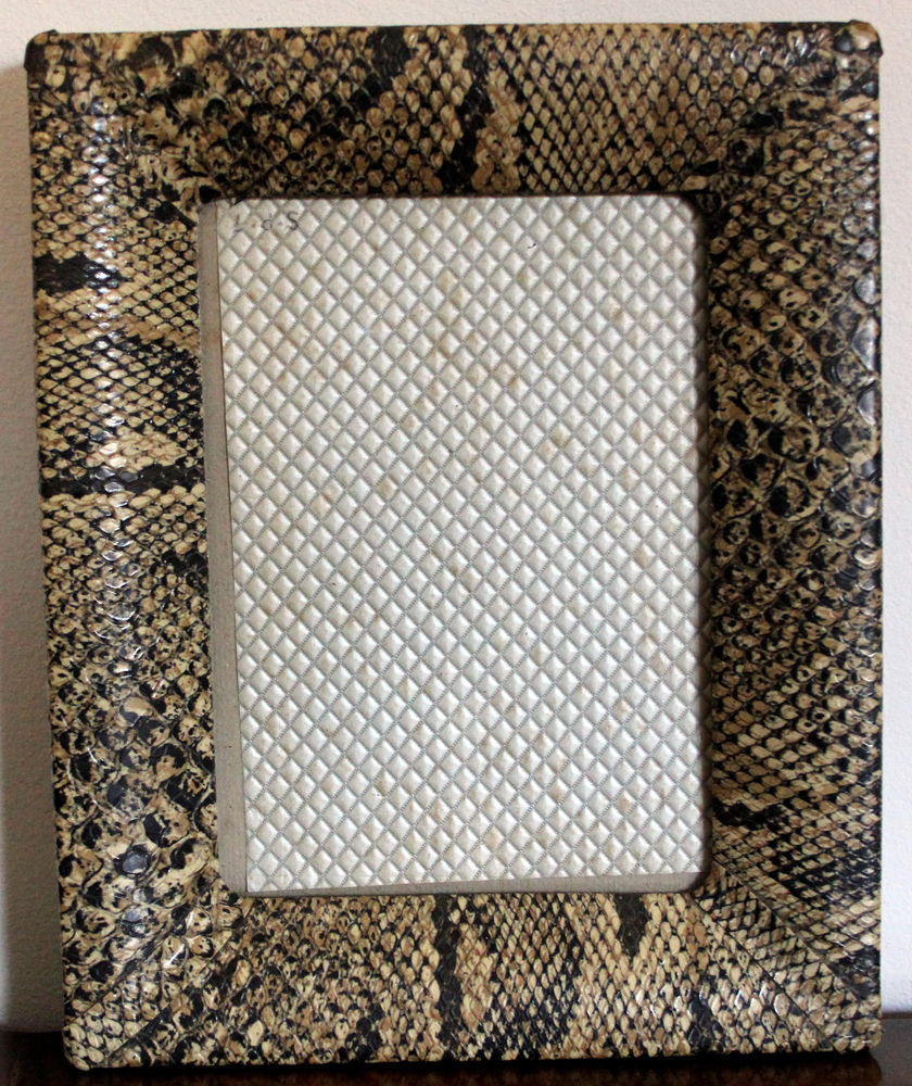 Cadre photo python vinyle design 1950 35 Issy-les-Moulineaux (92)