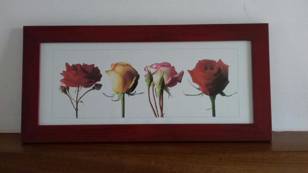 Cadre photos 4 roses
5 Vernou-la-Celle-sur-Seine (77)