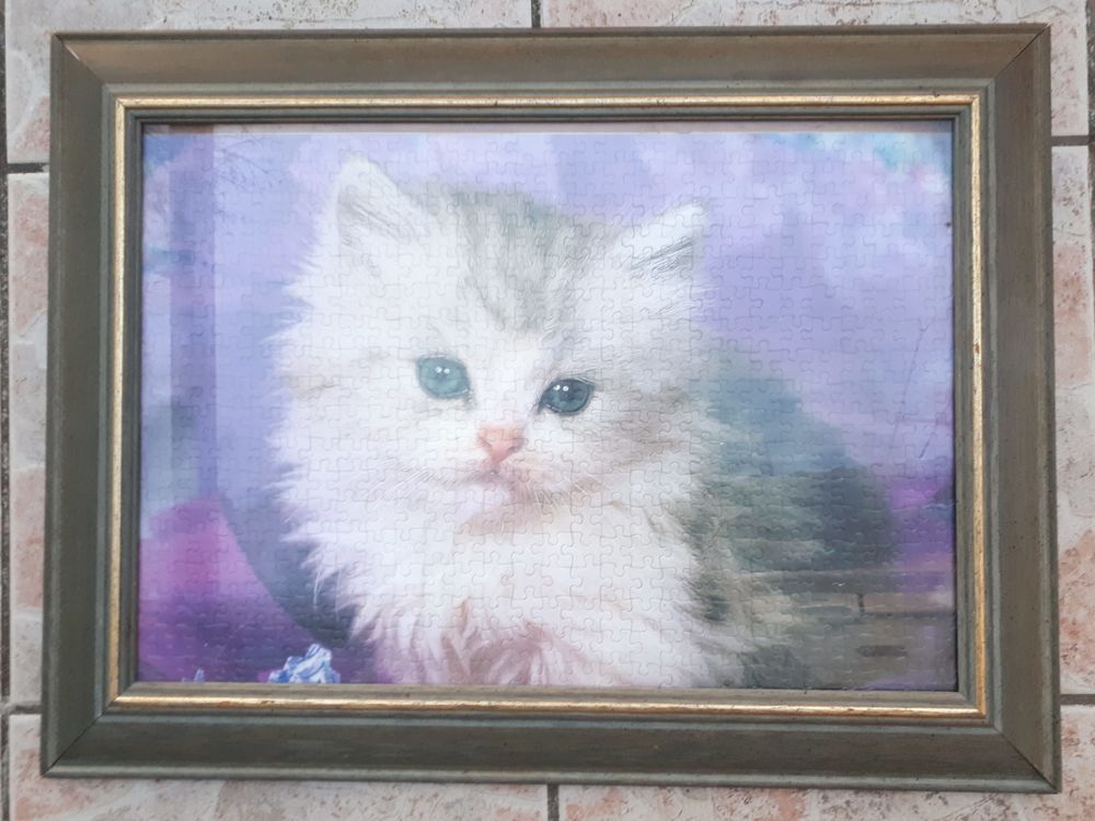 Cadre puzzle chat sous verre 12 Montigny-Lencoup (77)