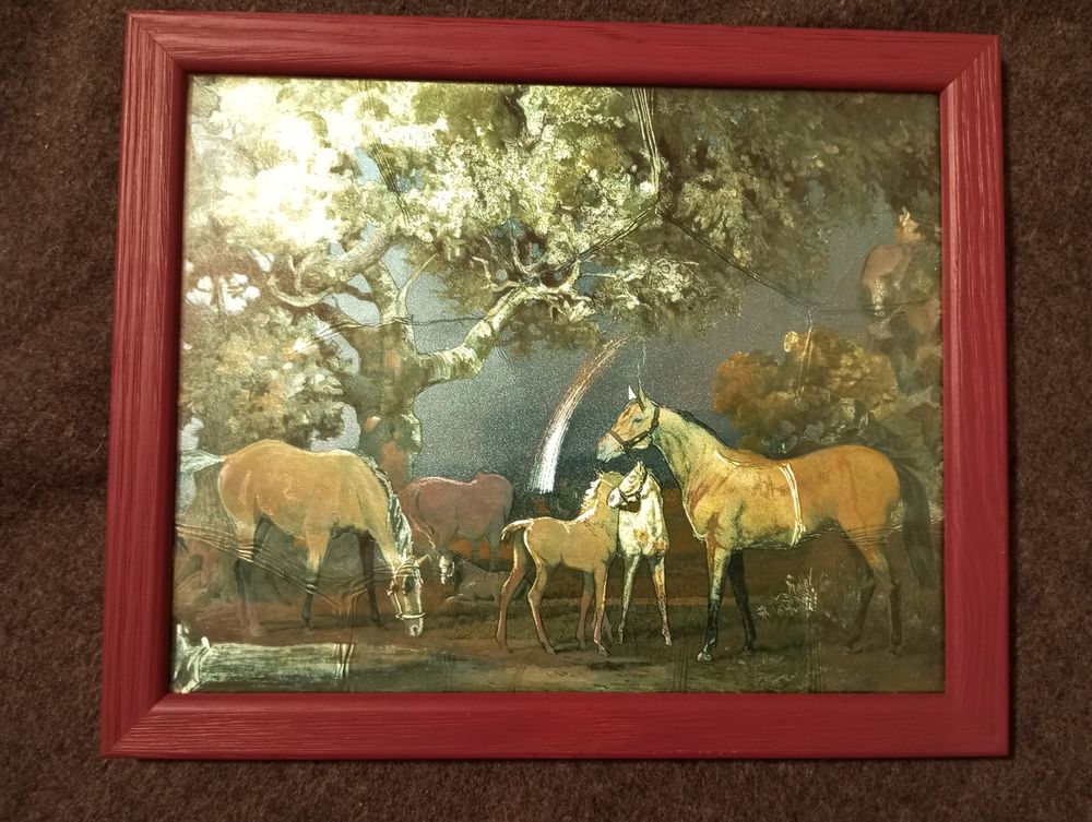 Cadre tableau chevaux effet brillant sur feuille d'aluminium 5 Toul (54)