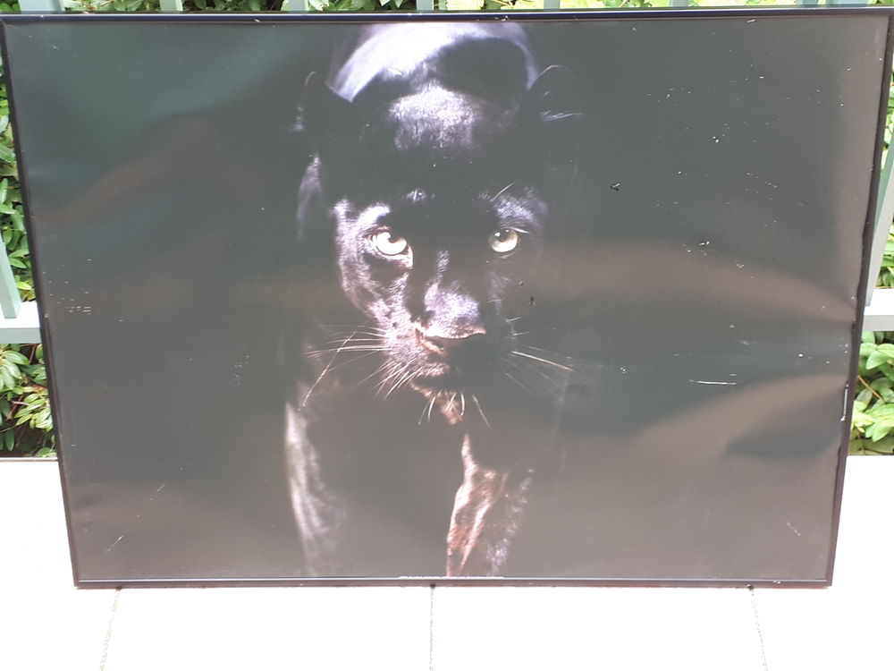 Cadre tableau La Panth�re Noire 5 Montigny-Lencoup (77)