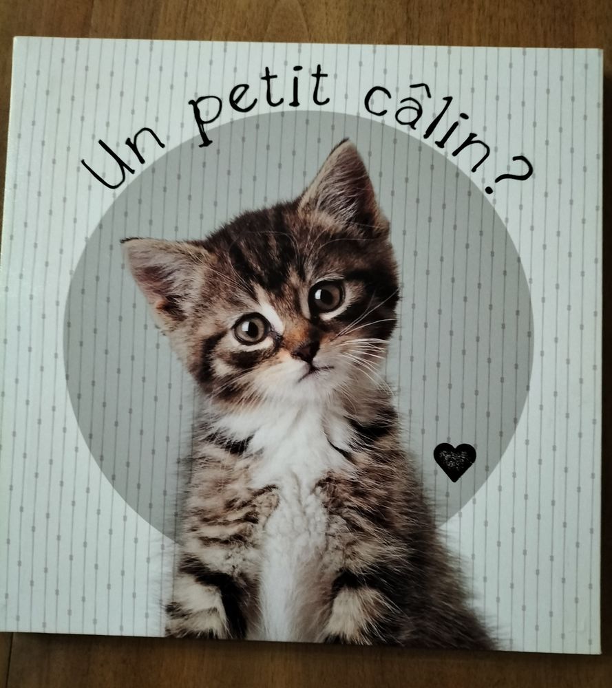 CADRE TOILE CHATONS 4 Satillieu (07)